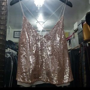 Free people blush pink sequined top